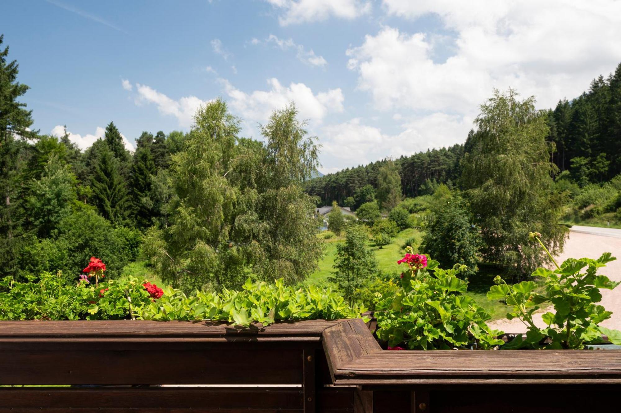 Hotel Scoiattolo Baselga di Pine