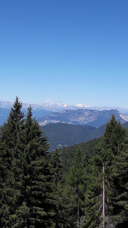 Scoiattolo Baselga di Pine