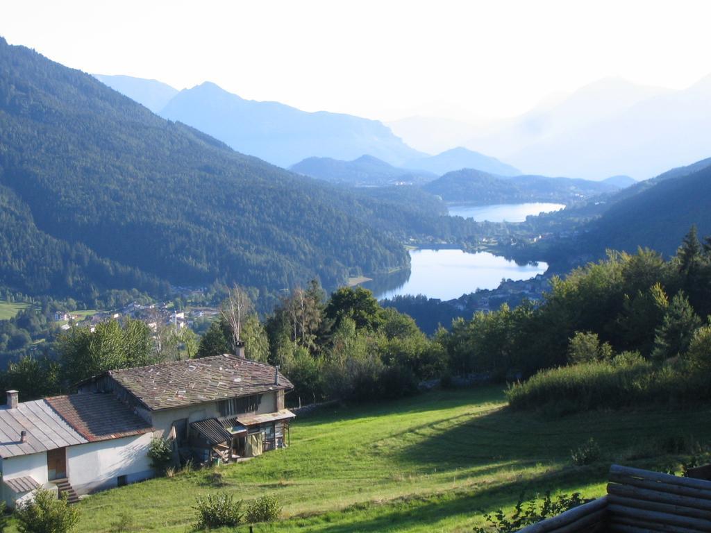 Scoiattolo Baselga di Pine